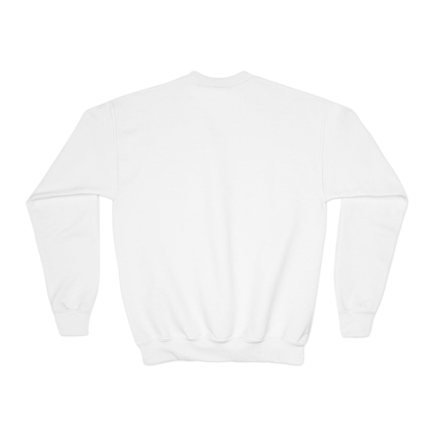 Captain Particular Youth Sweatshirt