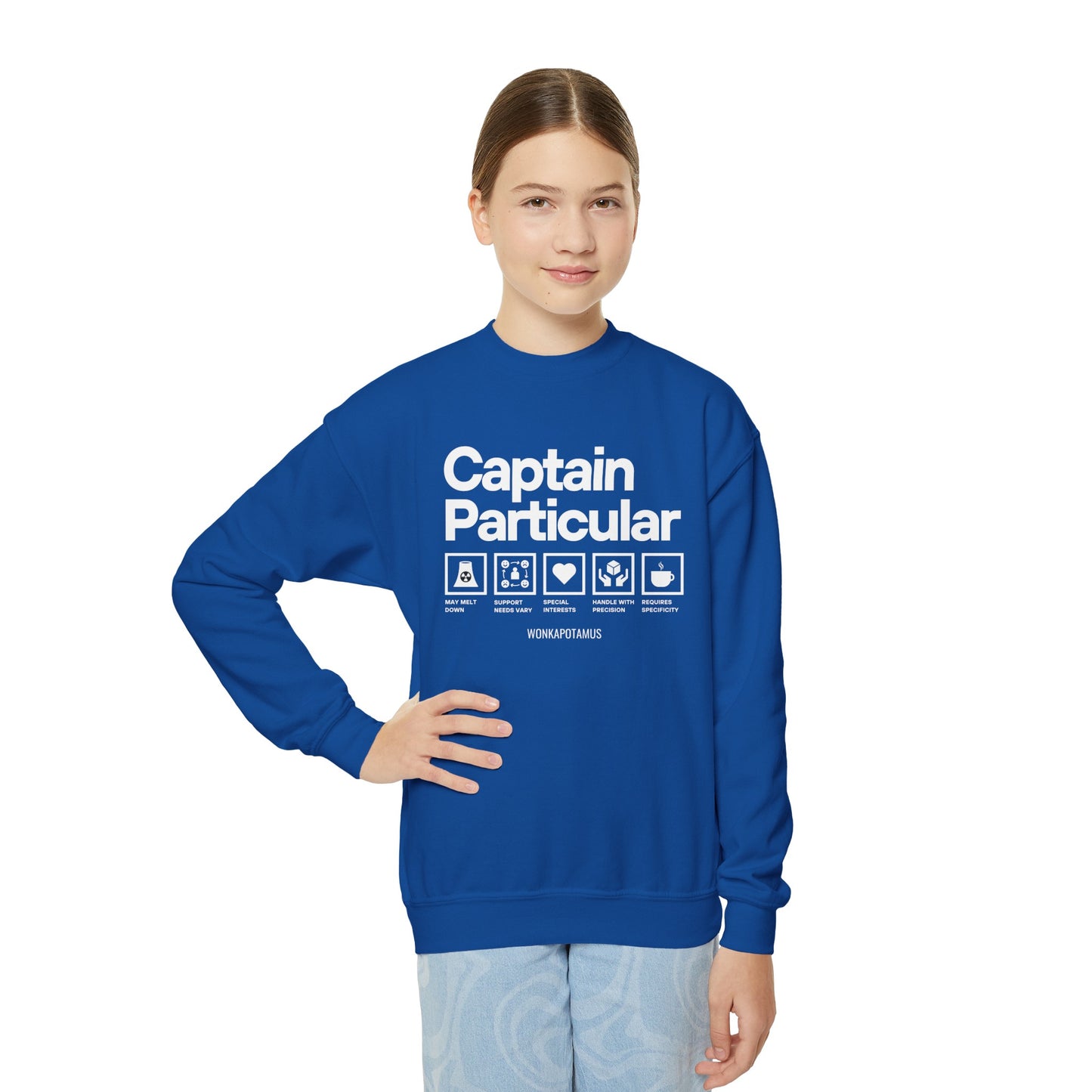 Captain Particular Youth Sweatshirt