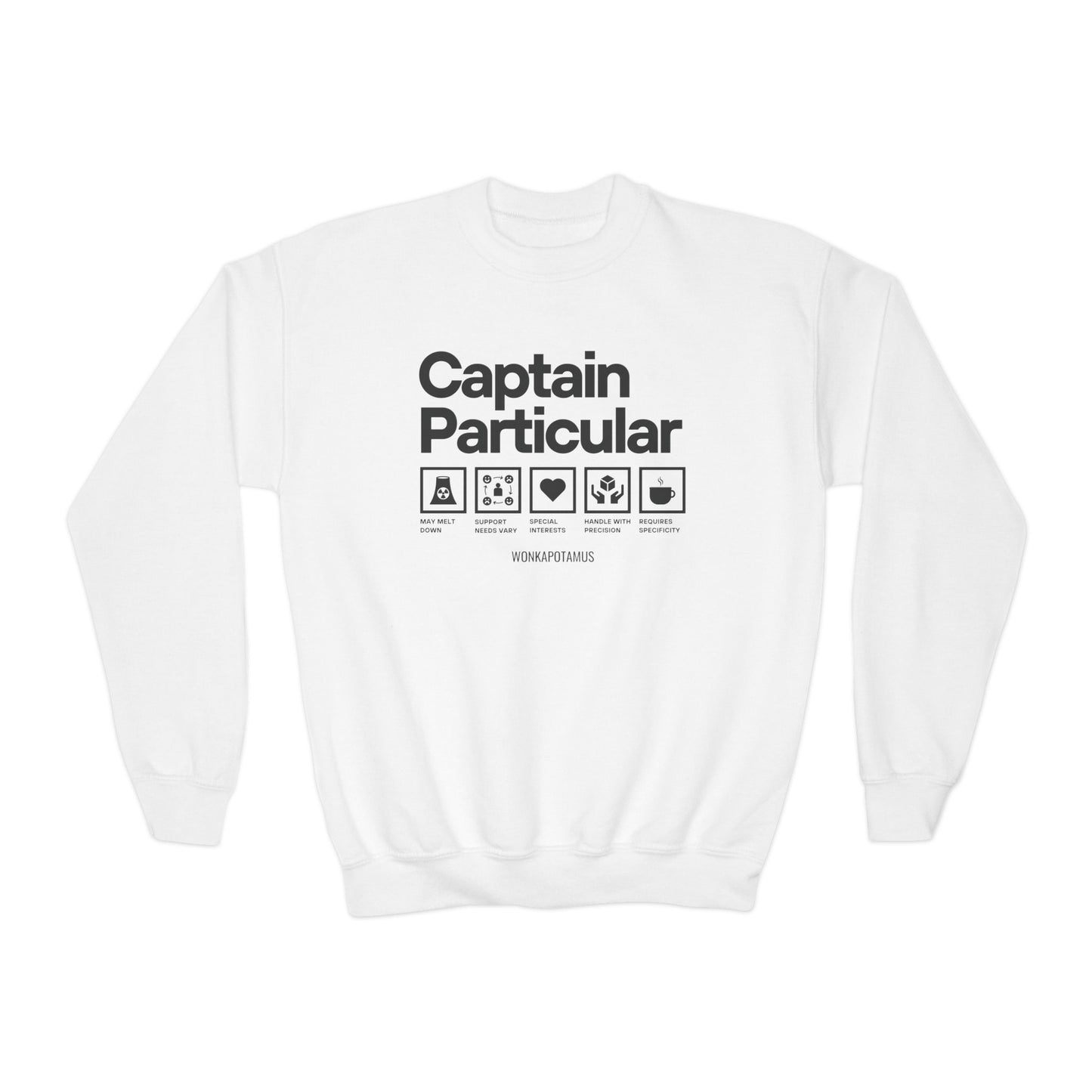 Captain Particular Youth Sweatshirt