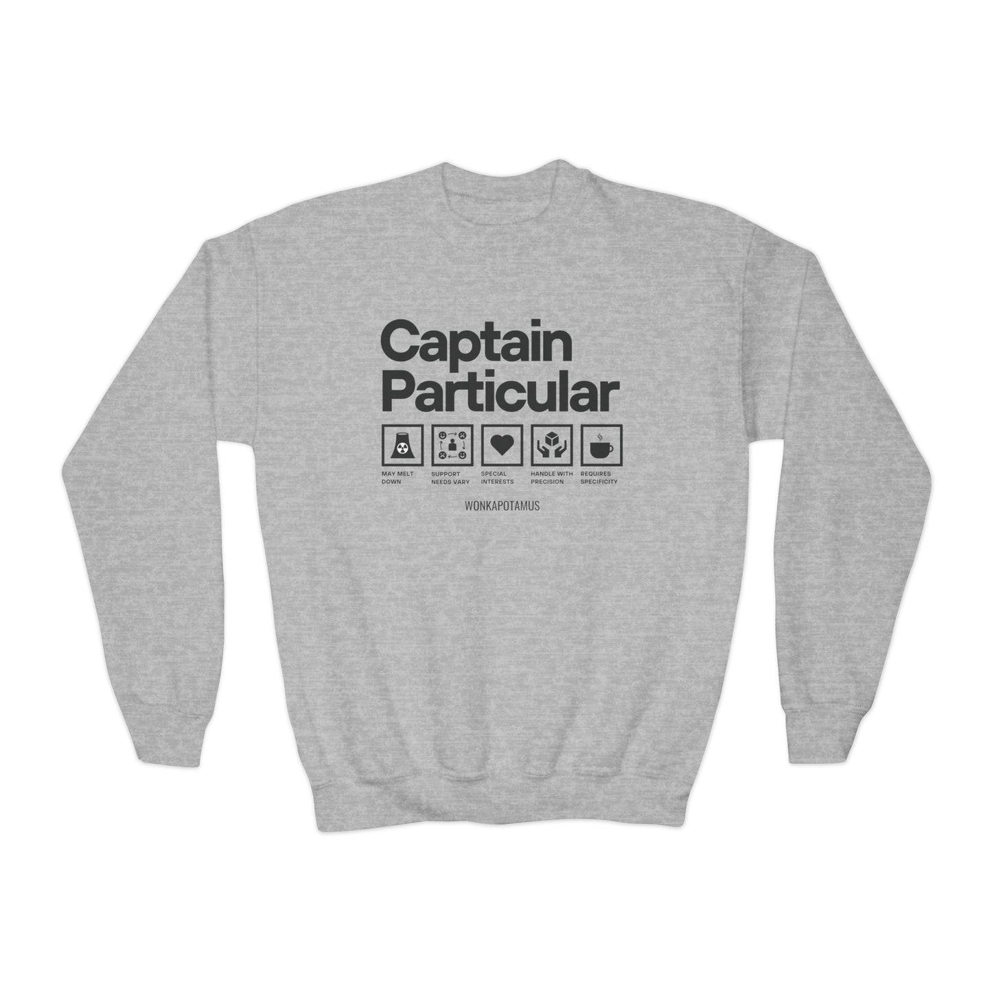 Captain Particular Youth Sweatshirt