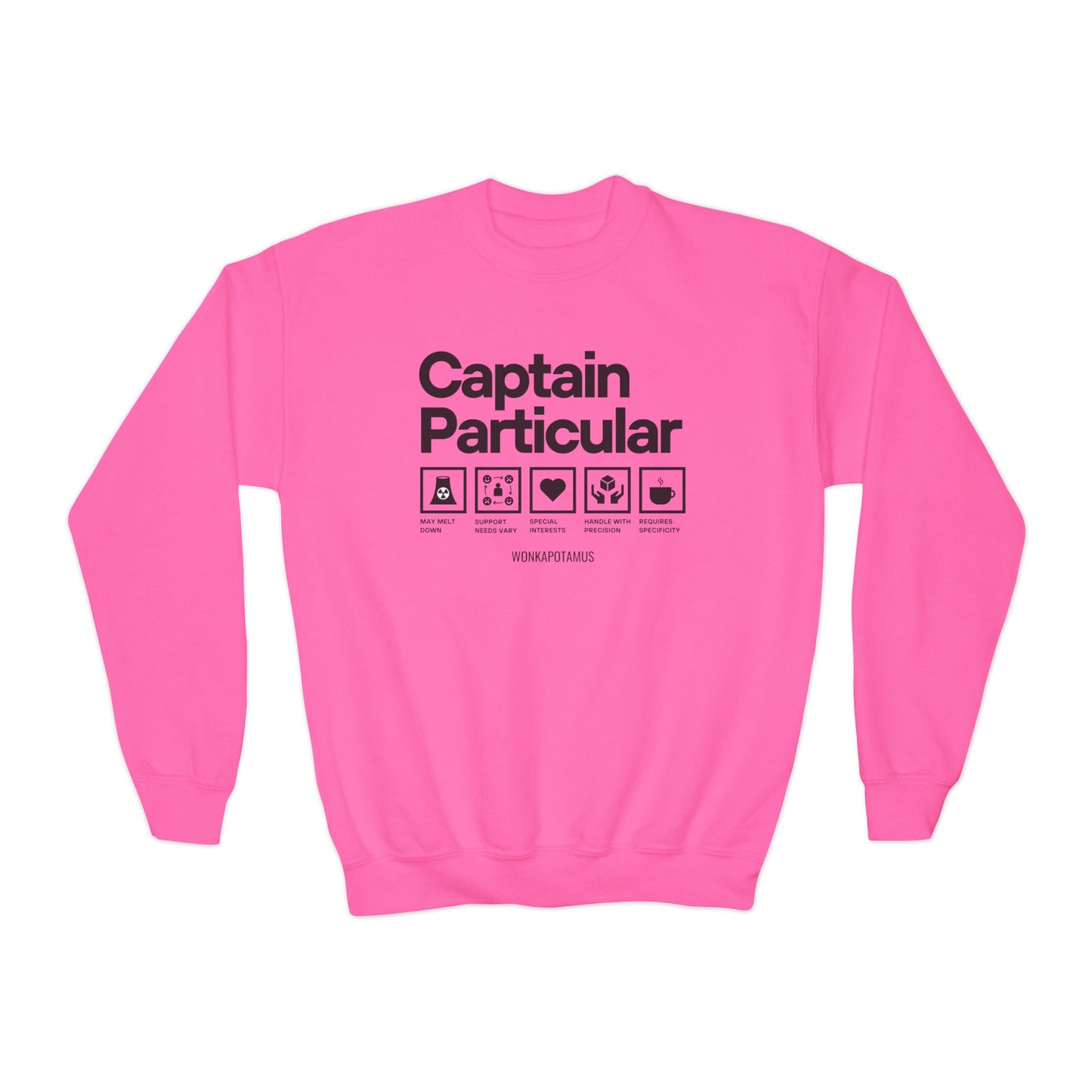 Captain Particular Youth Sweatshirt