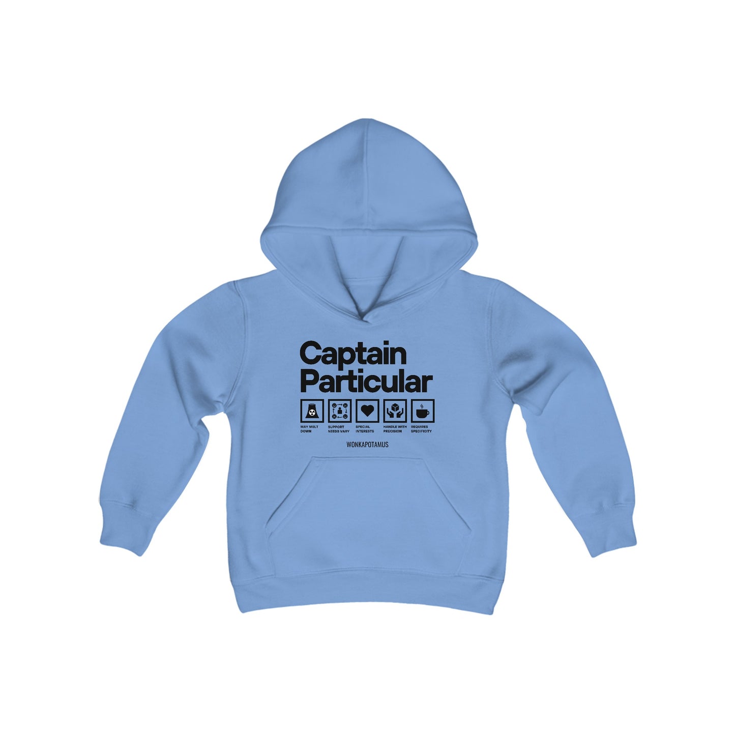 Captain Particular Youth Hoodie