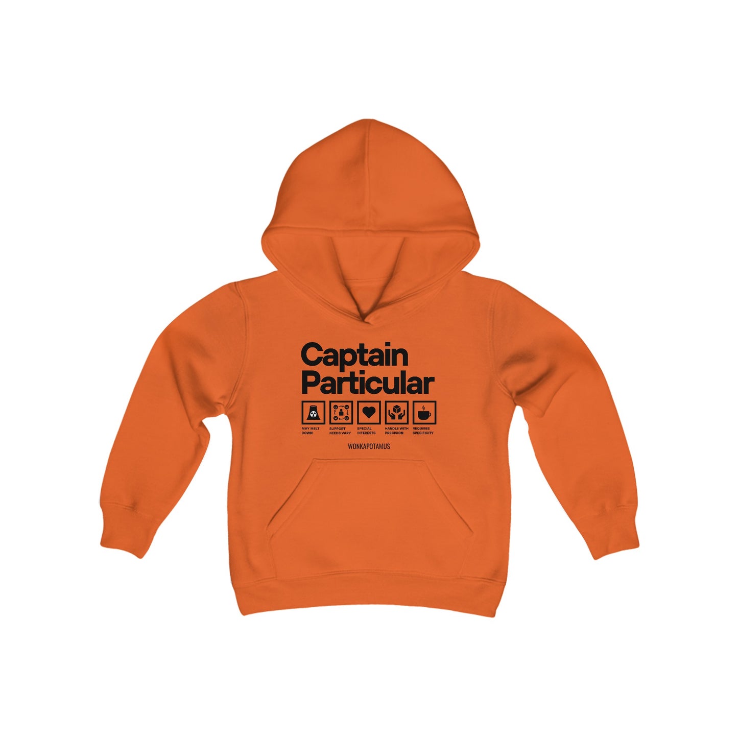 Captain Particular Youth Hoodie