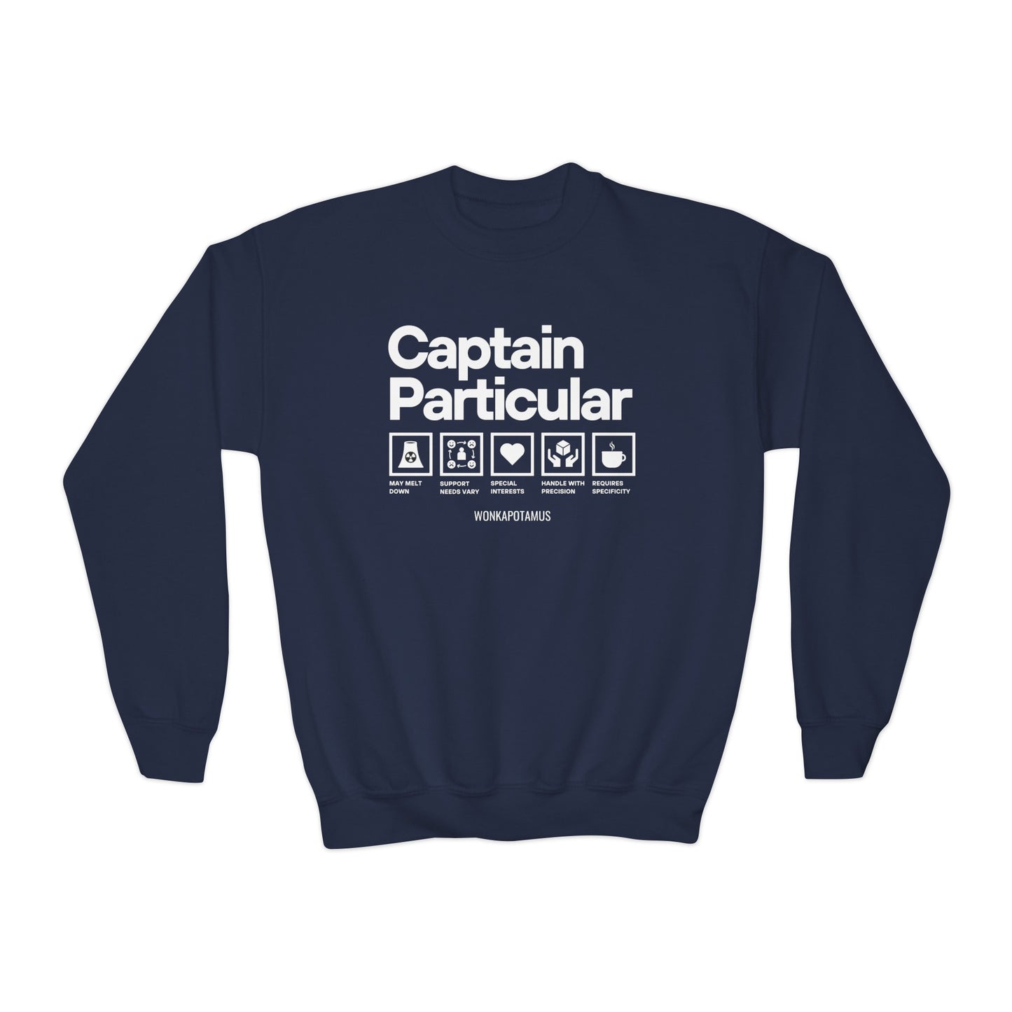 Captain Particular Youth Sweatshirt